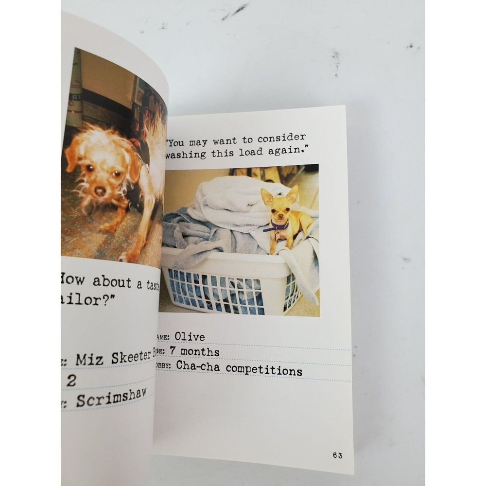 Bad Dog Comedy Funny Picture Book Paperback GUC - Picture 4 of 6